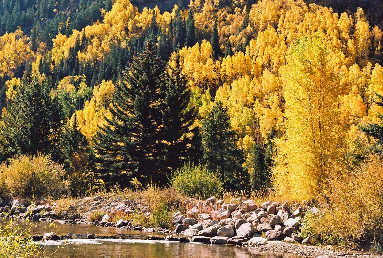 Vail Racquet Club Mountain Resort Kültér fotó